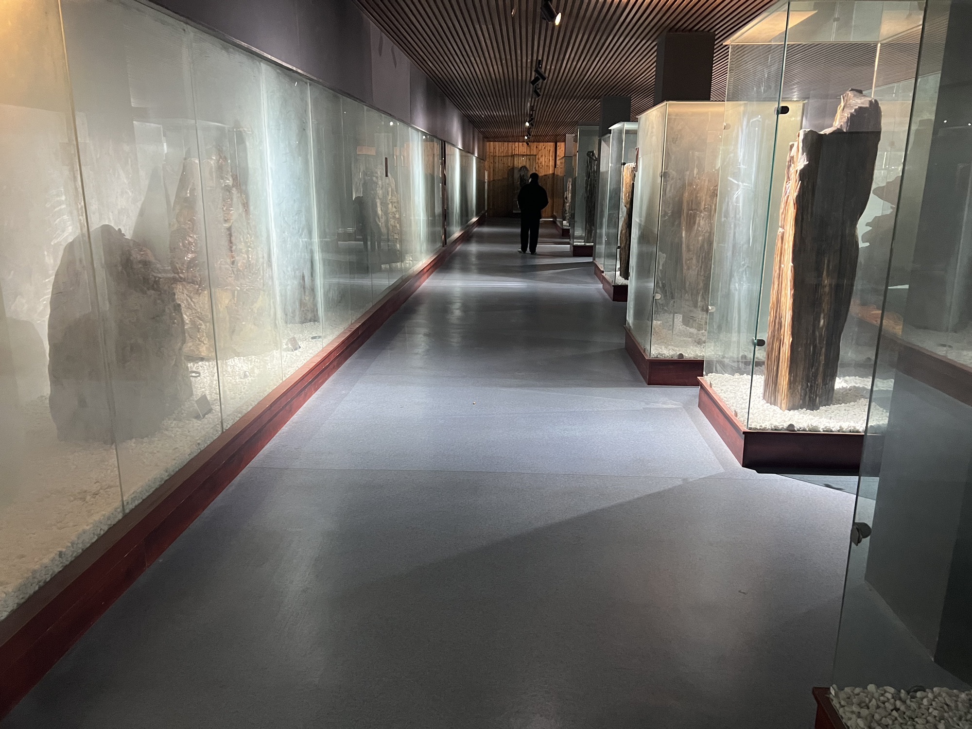 泗县运河人家景区旅行图片 2