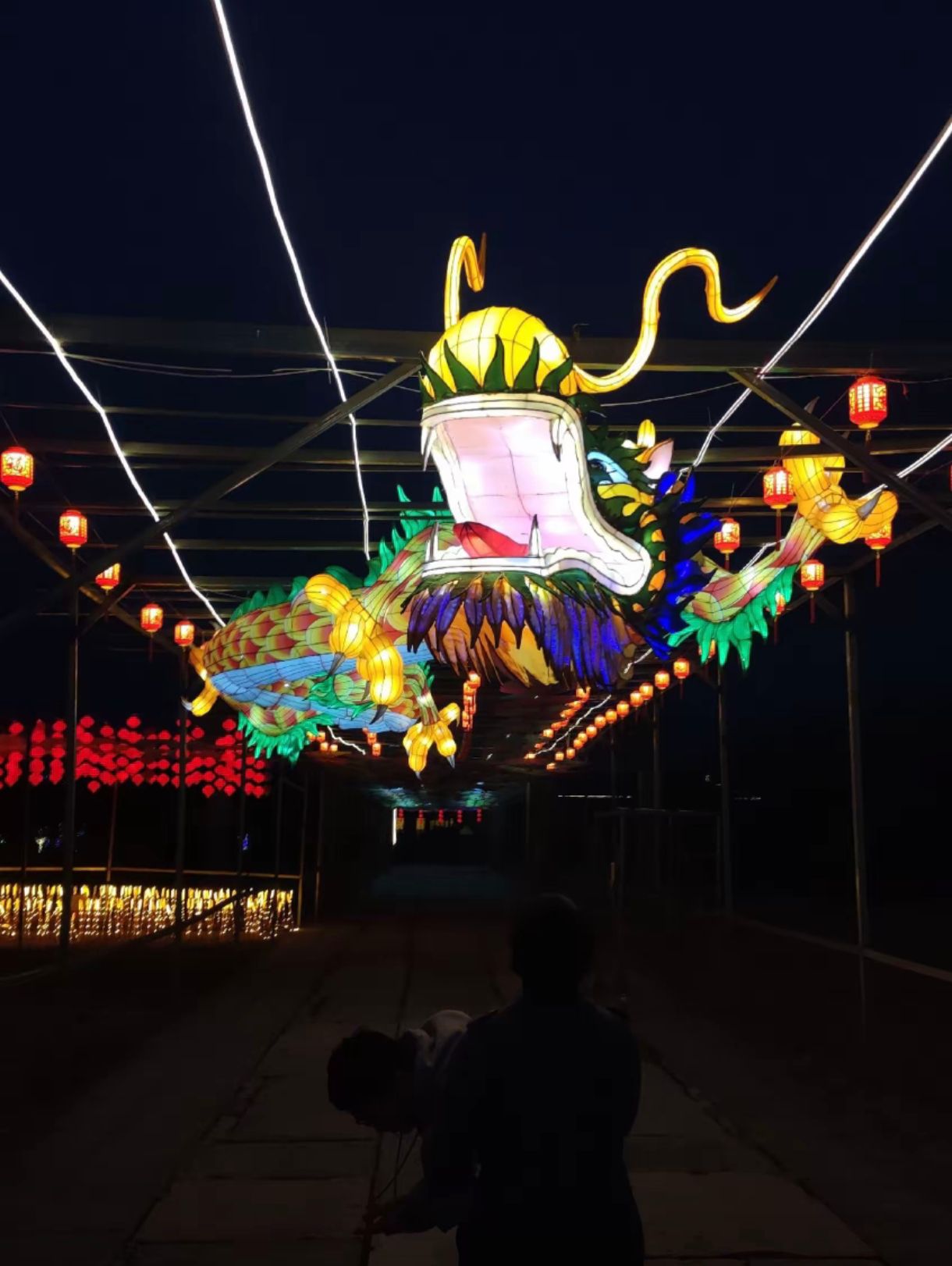 泗县运河人家景区旅行图片 3