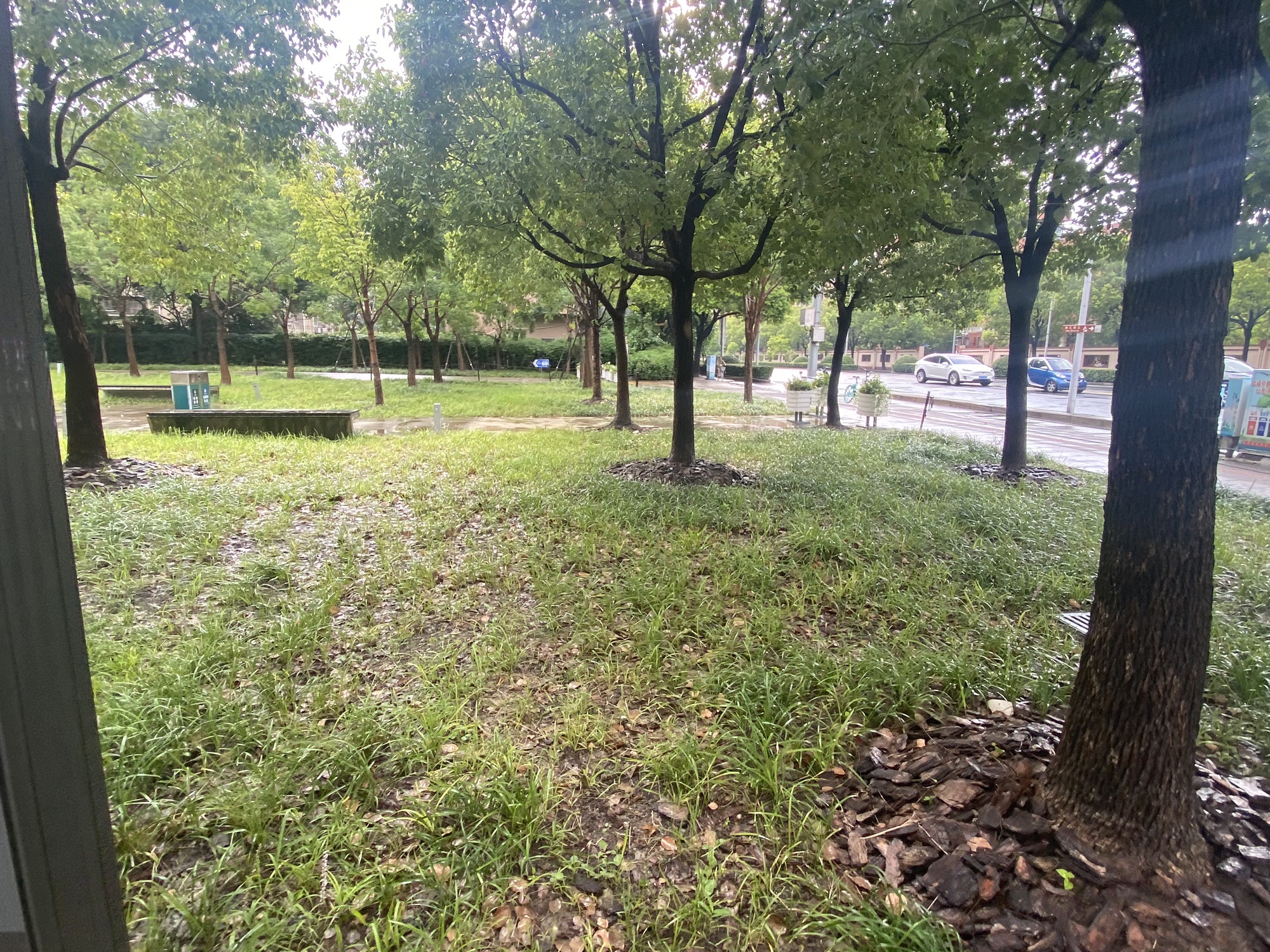 徐汇跑道公园旅行图片 2