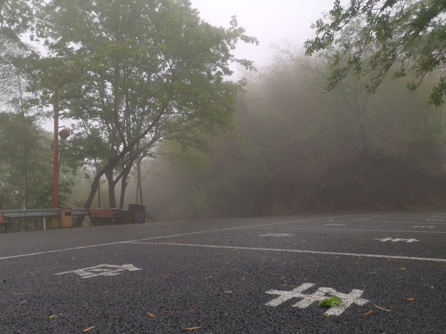 金牛山旅行图片 3