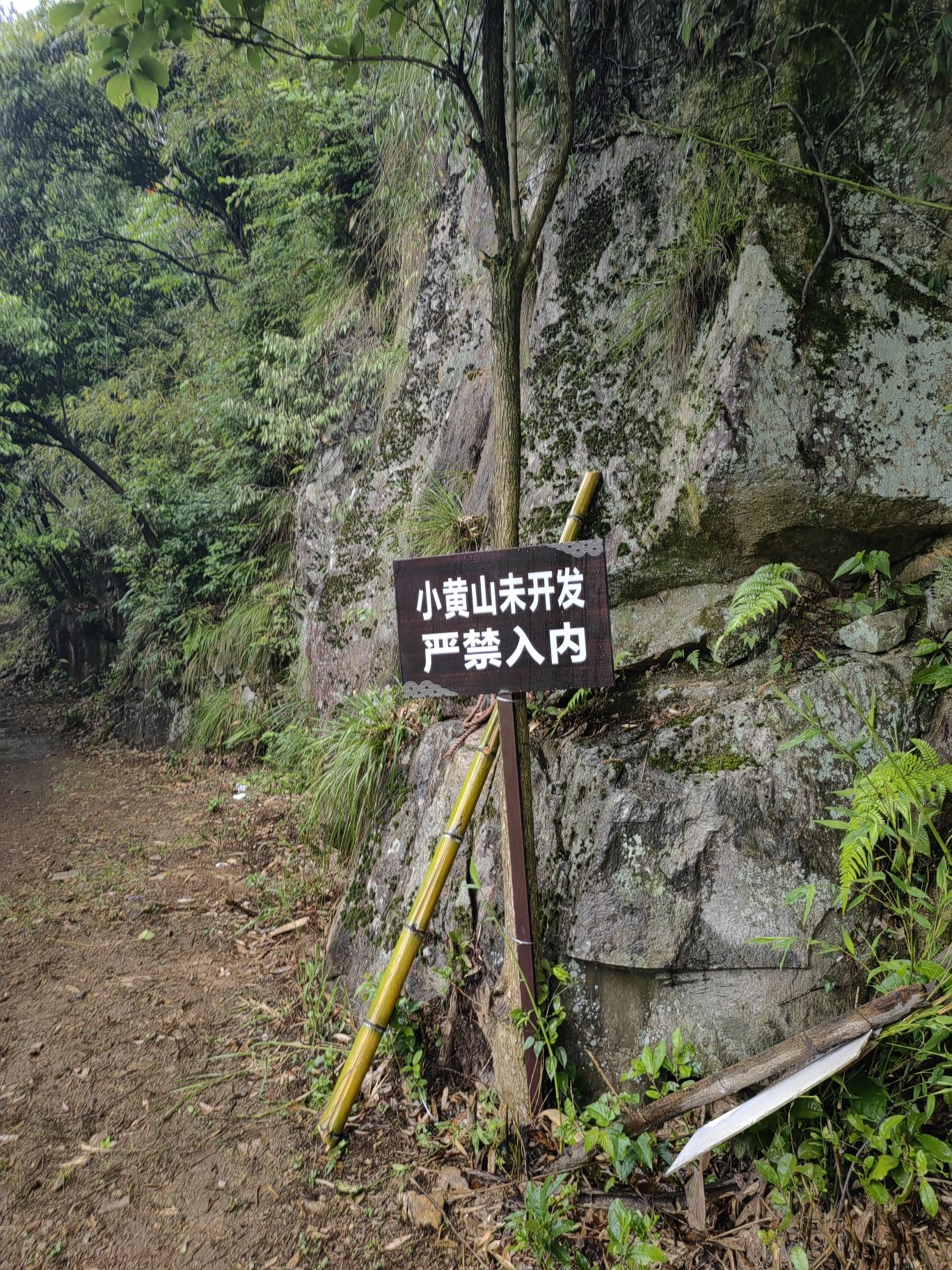 浙北小黄山观景台旅行图片 2