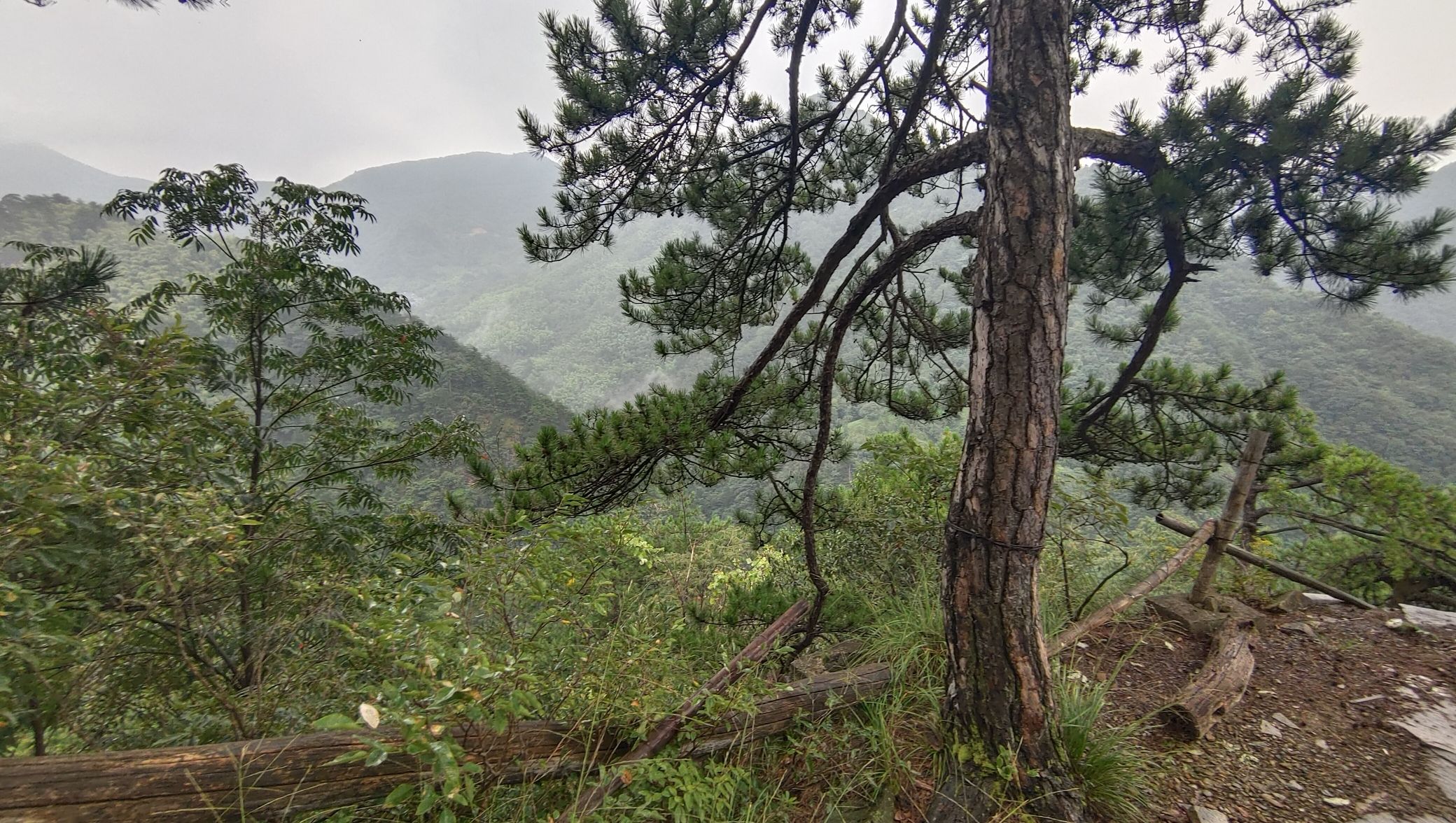 浙北小黄山观景台旅行图片 2
