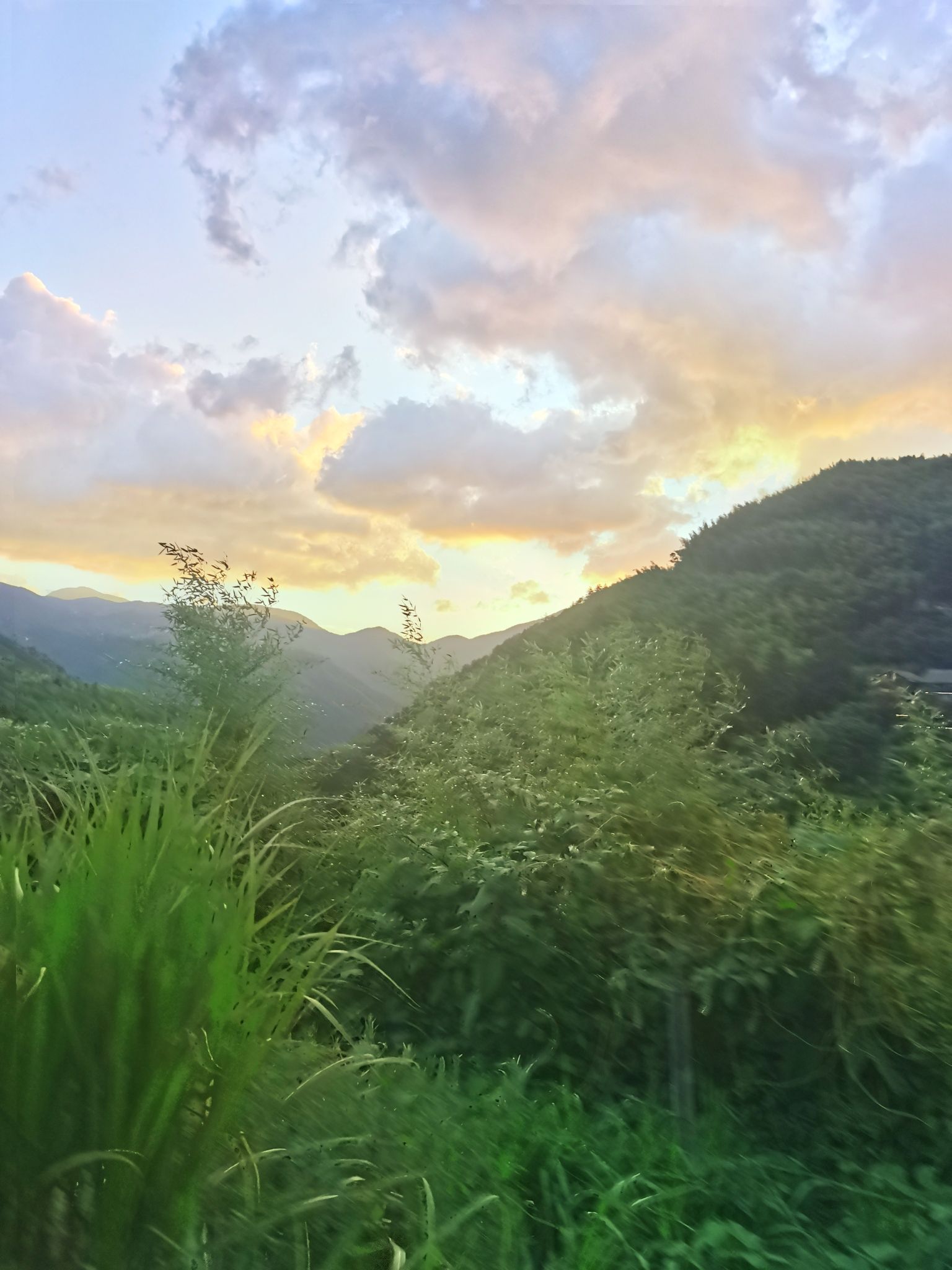 浙北小黄山观景台旅行图片 3
