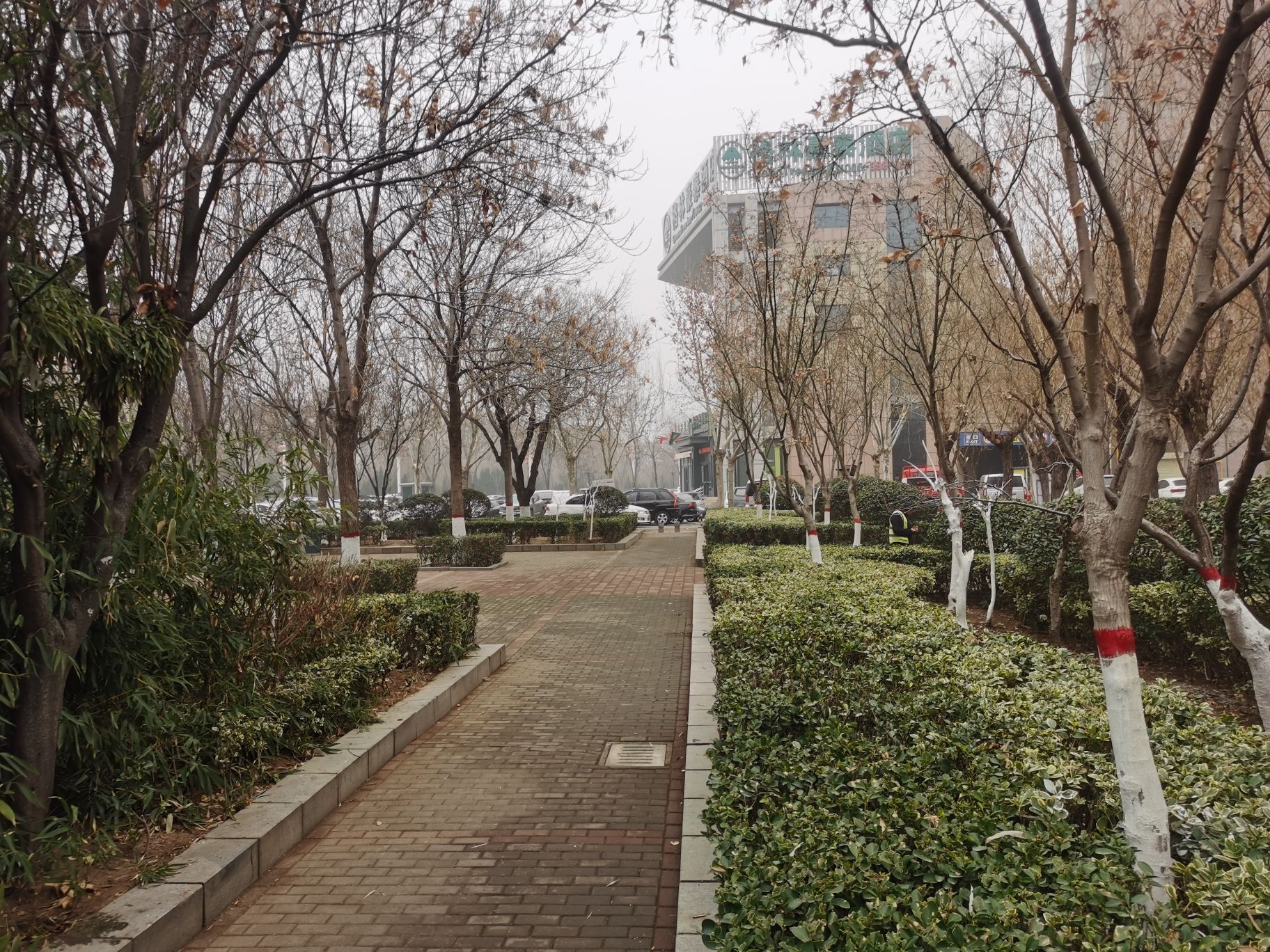 三角花园旅行图片 3