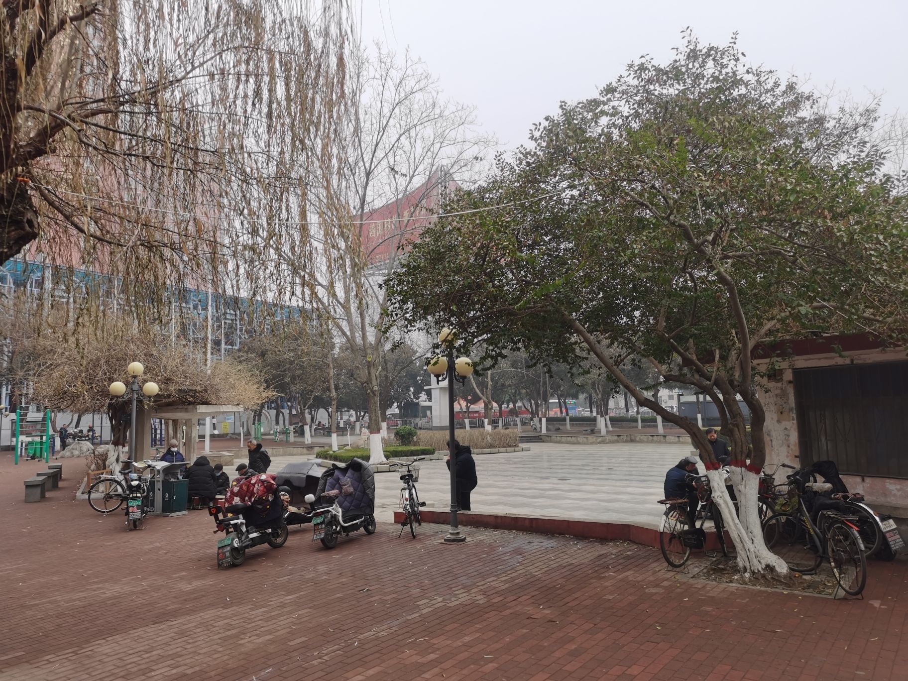 三角花园旅行图片 1