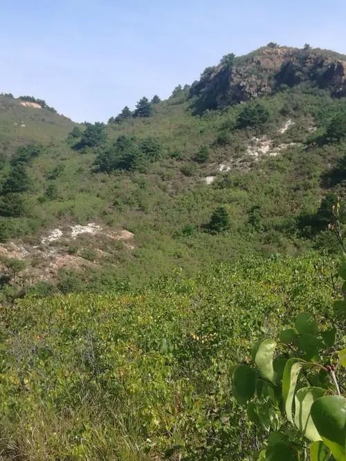 燕子山旅行图片 2