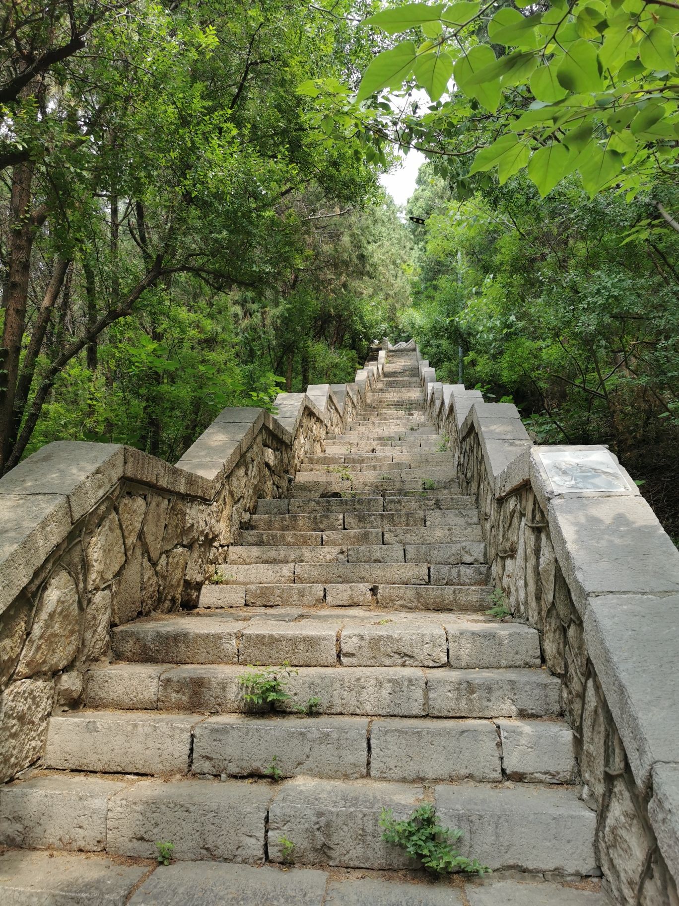 燕子山旅行图片 3