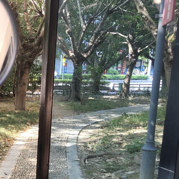 青口镇中央公园旅行图片 3