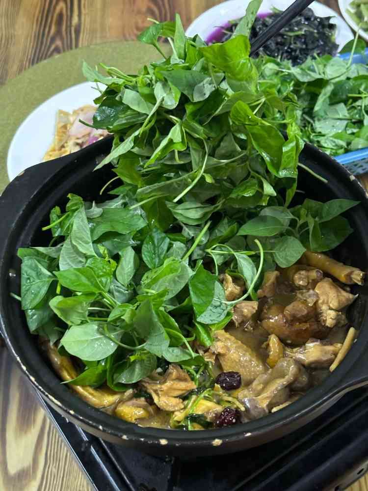 五指山野菜乡