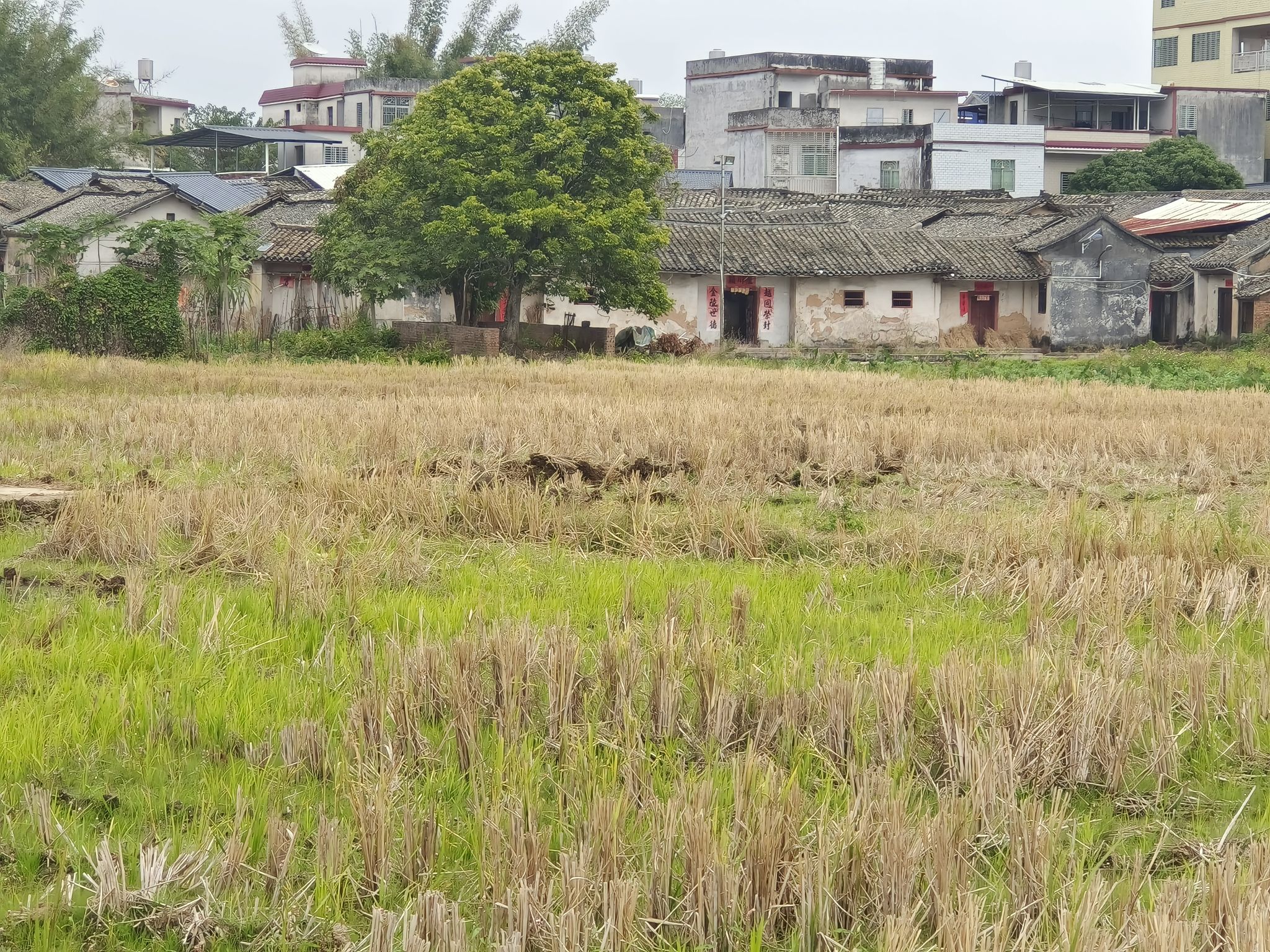 李洁之将军府旅行图片 3