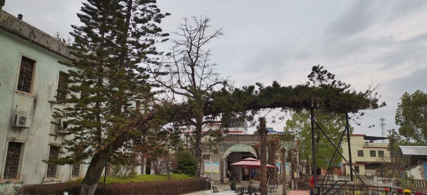 李洁之将军府旅行图片 2