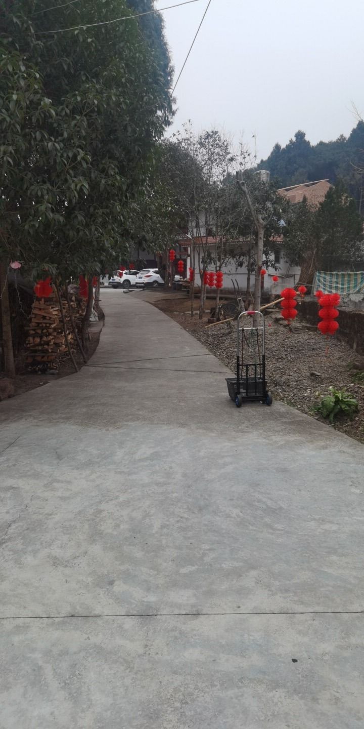冯家大院旅行图片 3