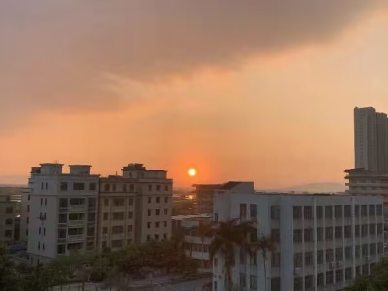 口美公园旅行图片 3