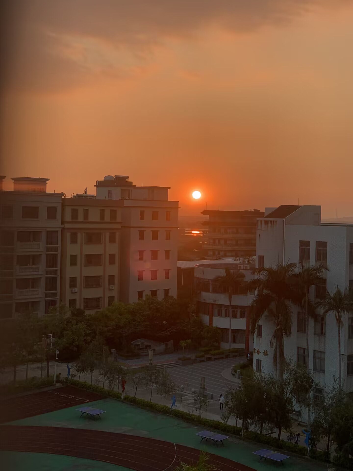 口美公园旅行图片 1