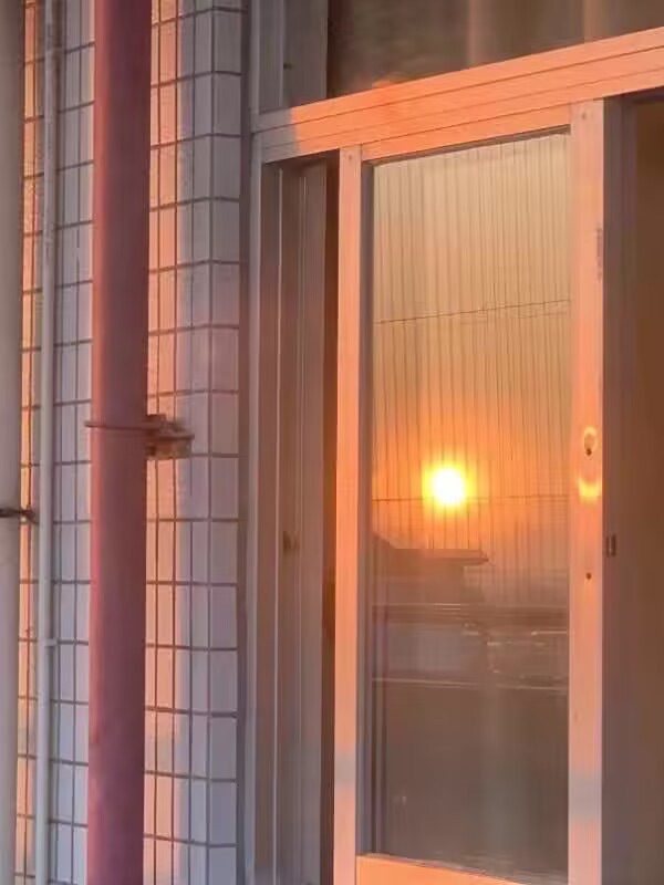 口美公园旅行图片 2