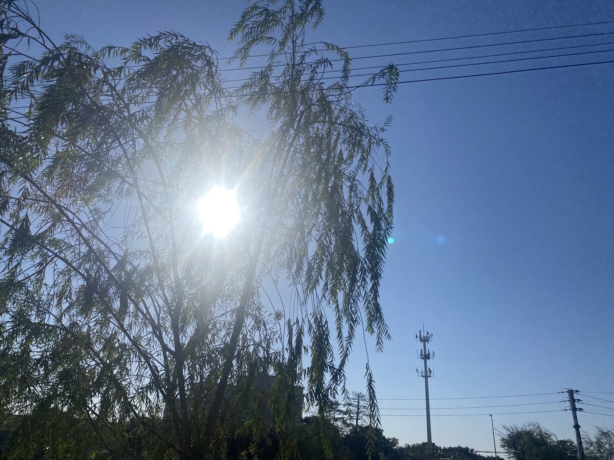 口美公园旅行图片 3
