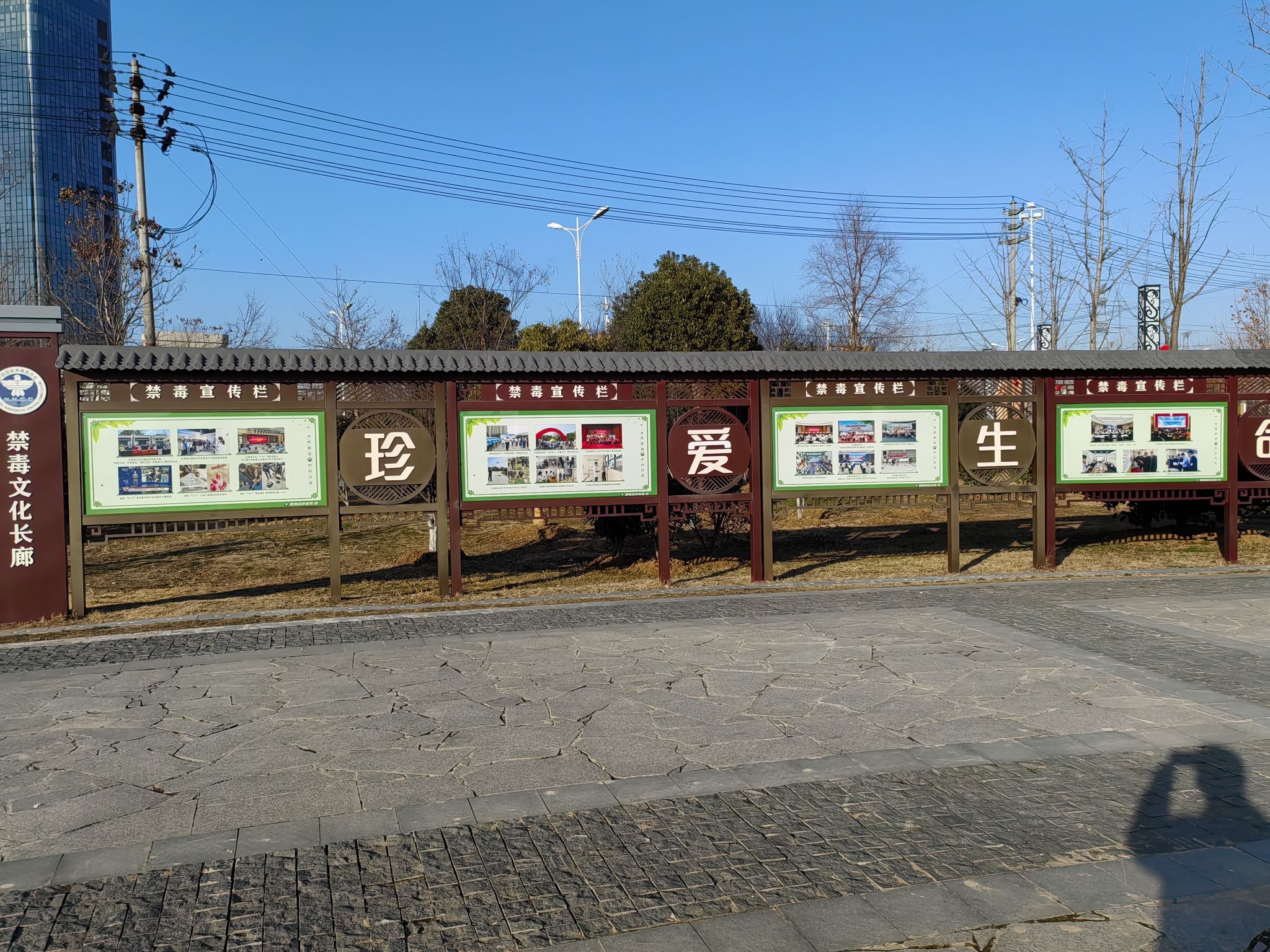 桃花潭公园旅行图片 2