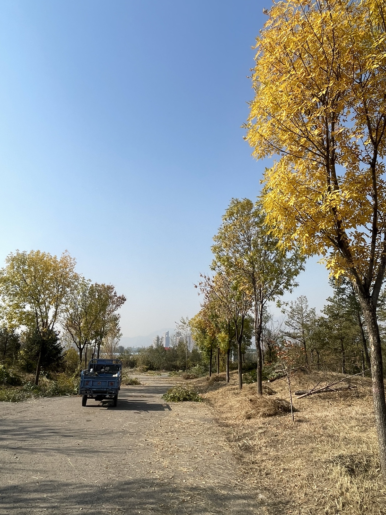 高勒其公园旅行图片 3