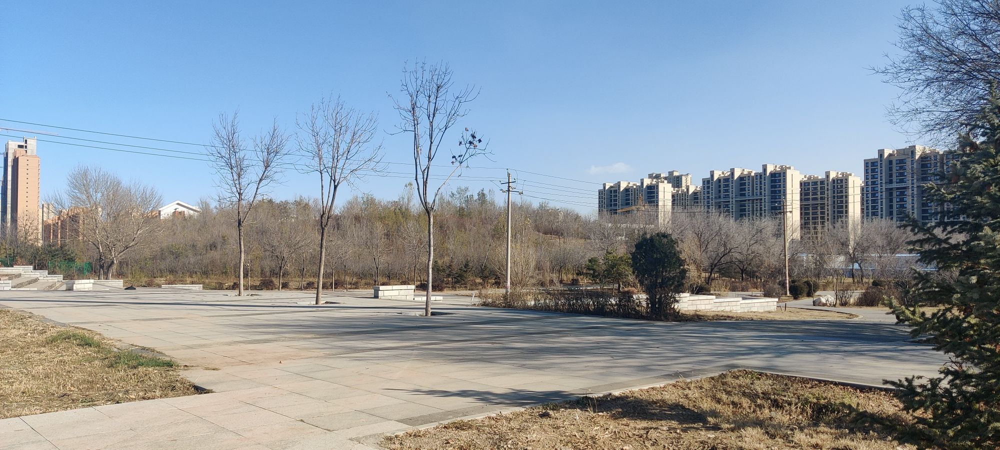 高勒其公园旅行图片 2