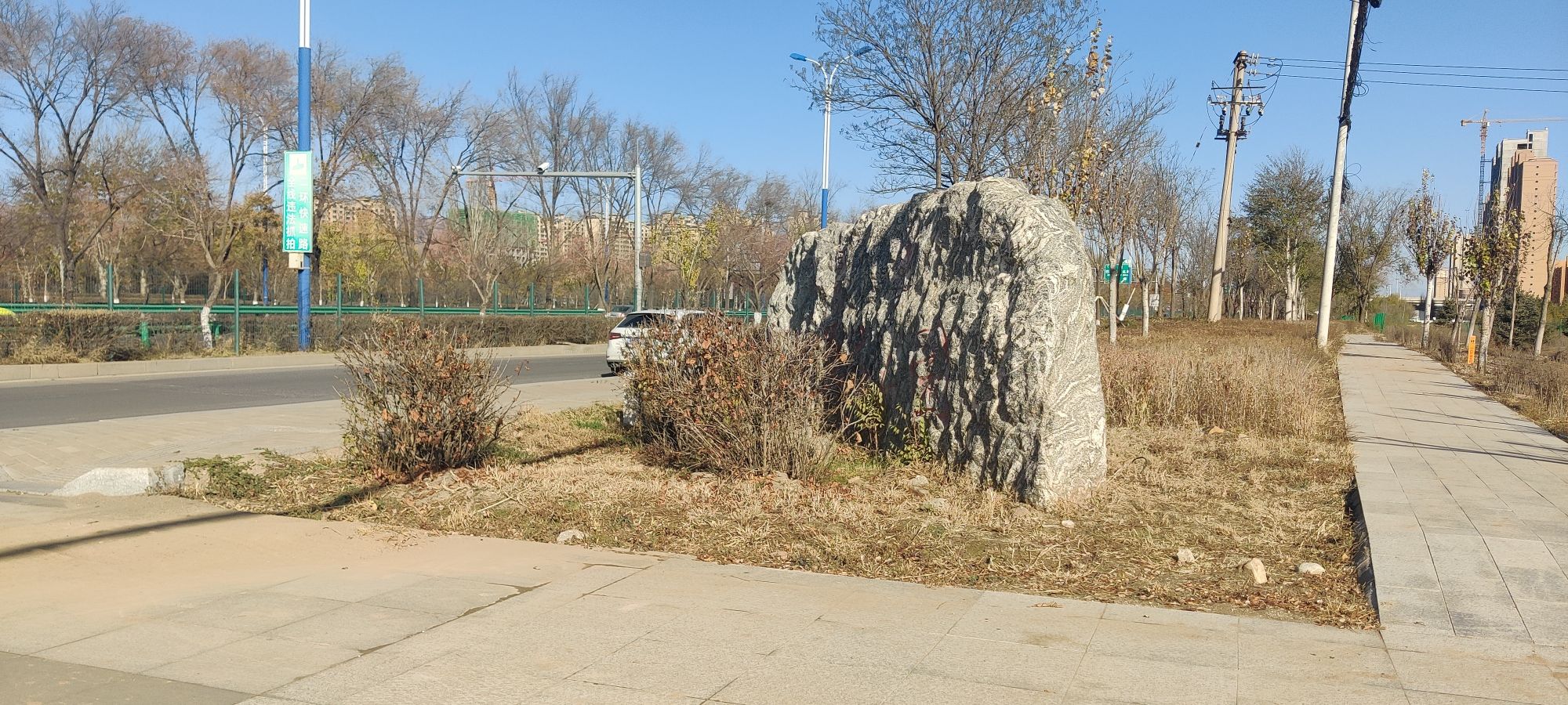 高勒其公园旅行图片 3