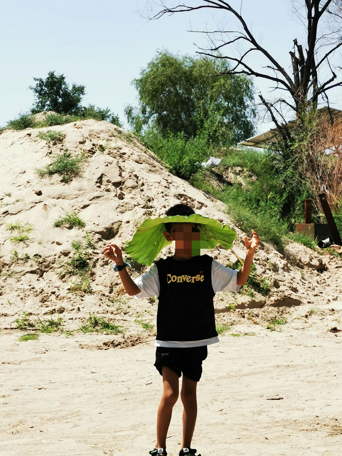 响水荷花池旅行图片 1