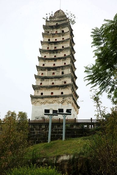 荣县镇南塔旅行图片 2