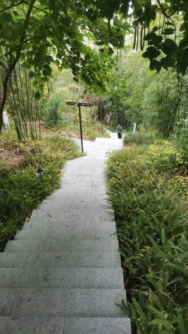 广宁县万竹园旅行图片 3