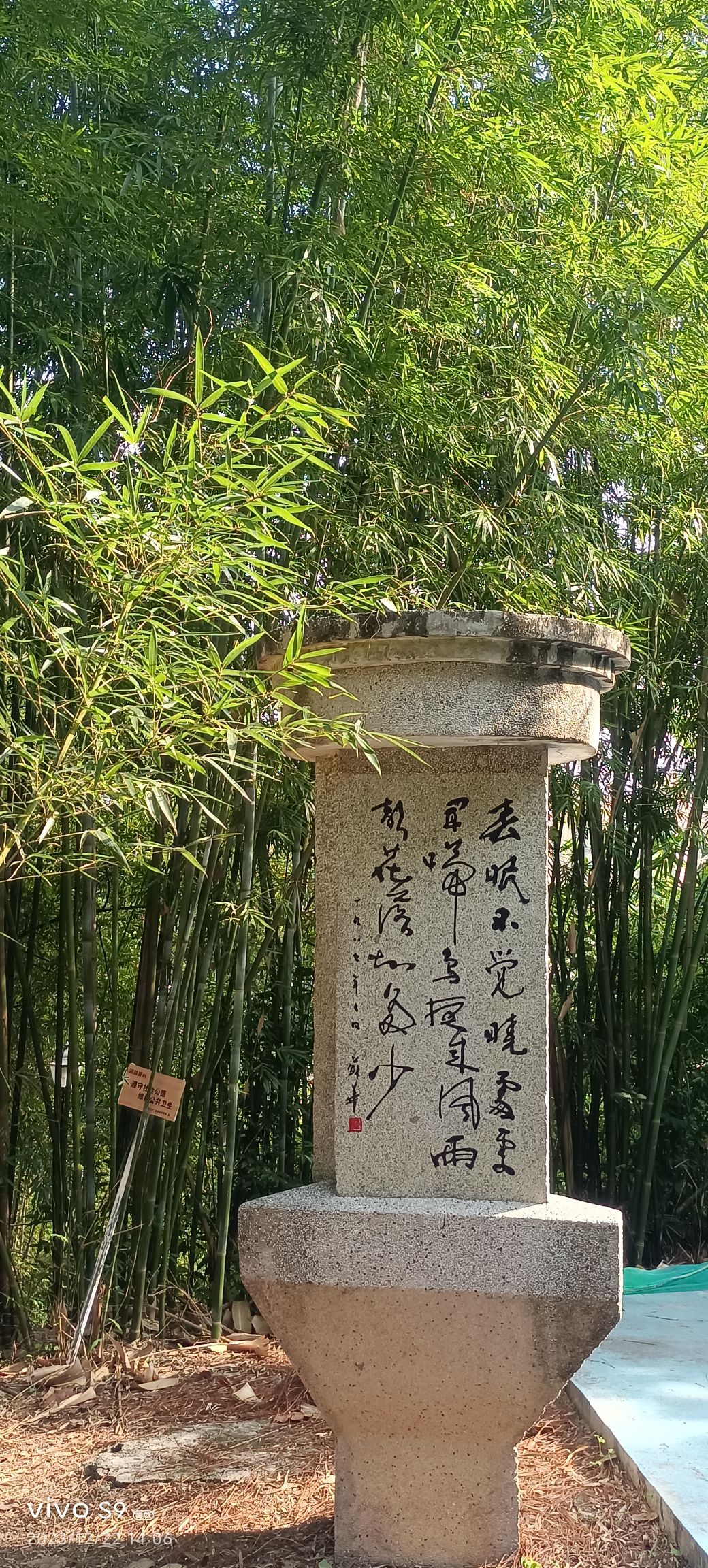 广宁县万竹园旅行图片 2