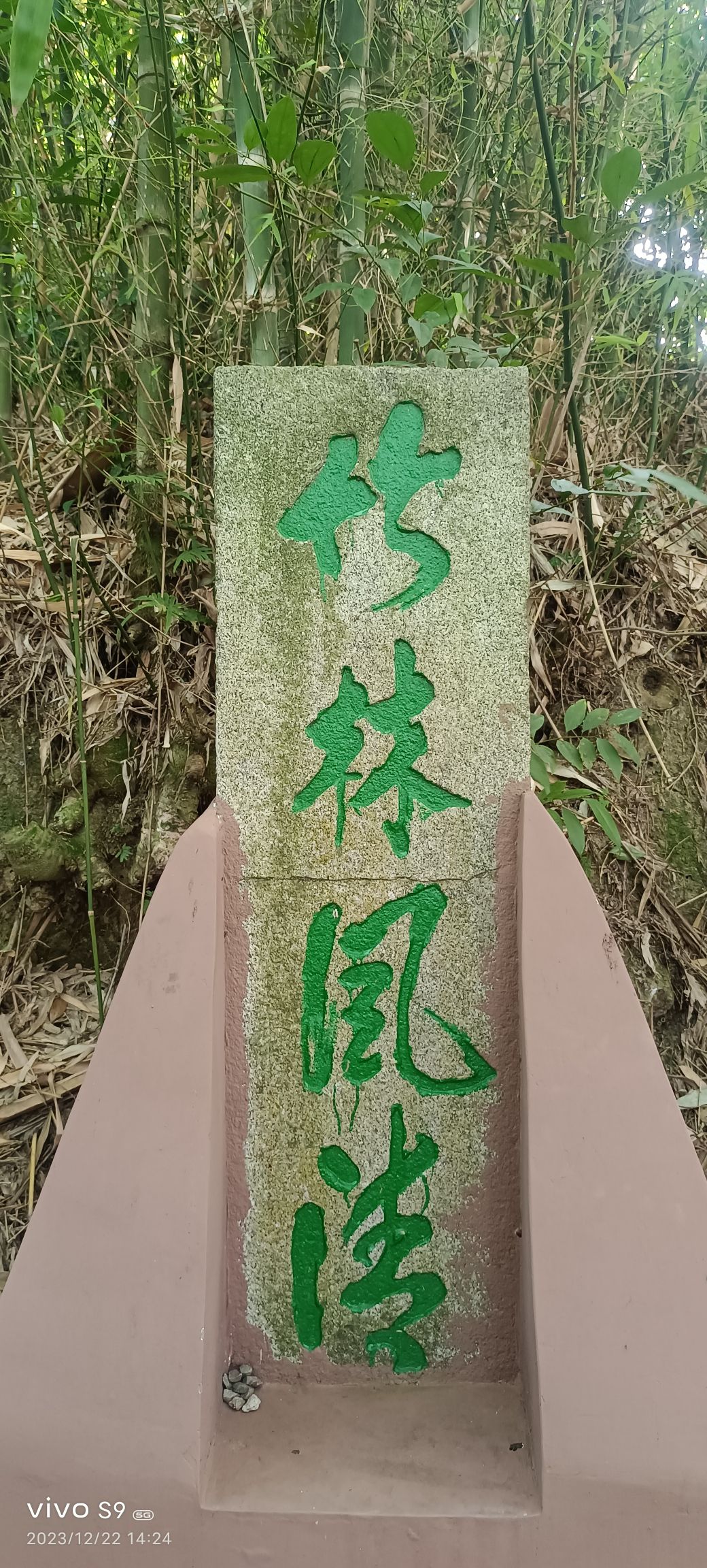 广宁县万竹园旅行图片 3