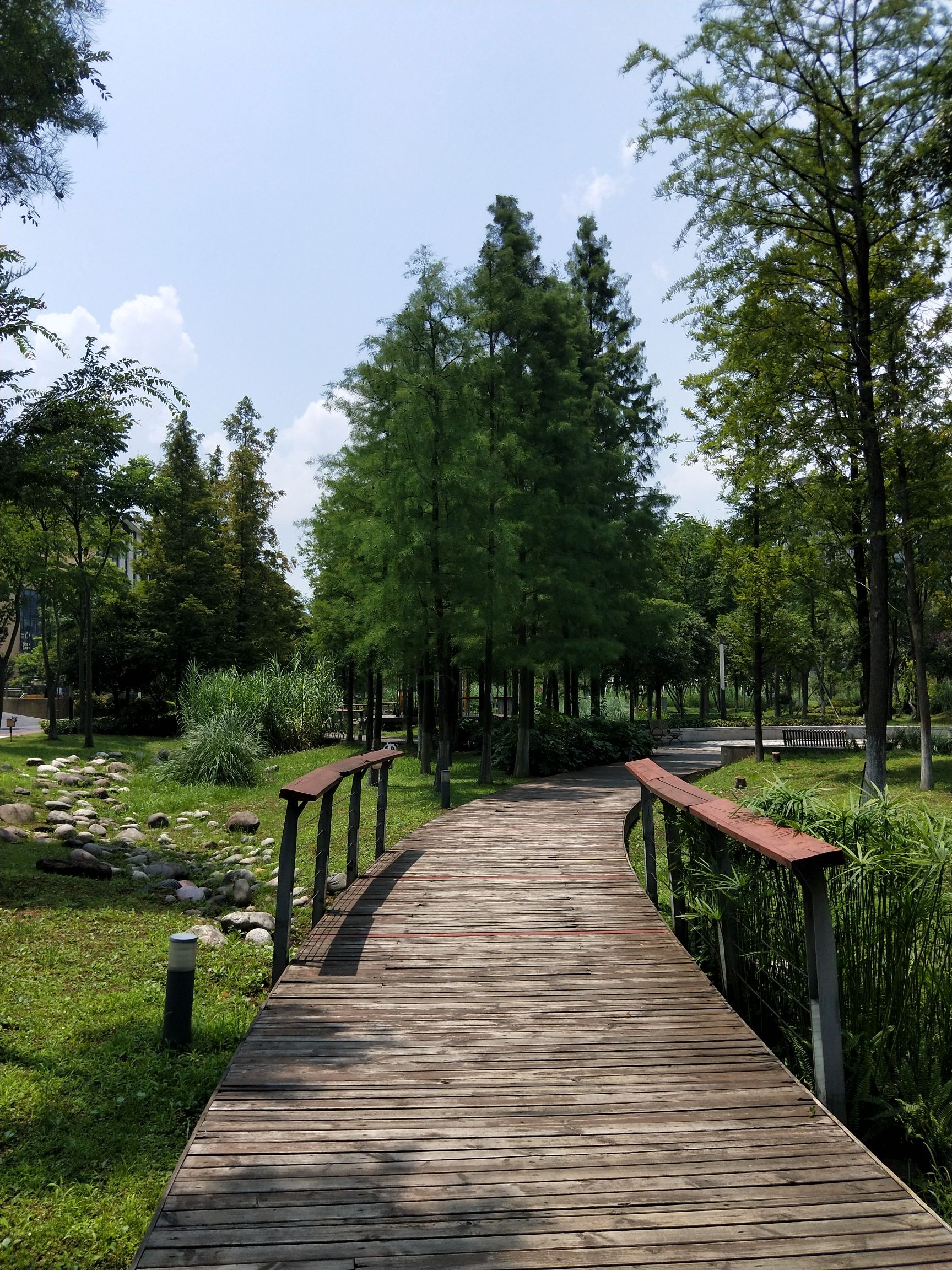 熊猫绿岛公园旅行图片 1
