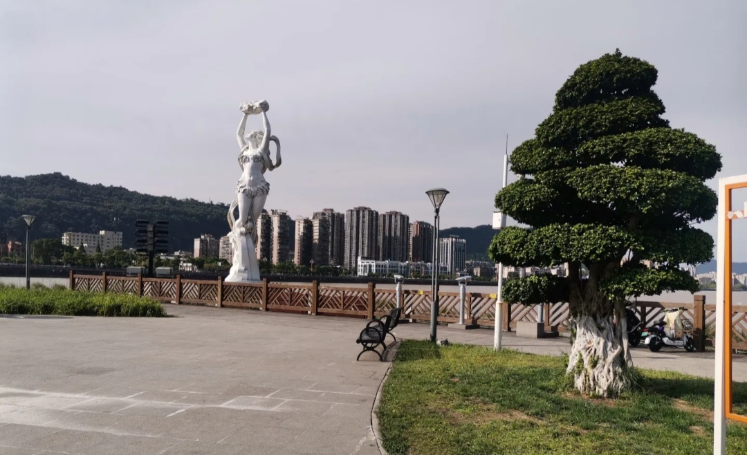熊猫绿岛公园旅行图片 3