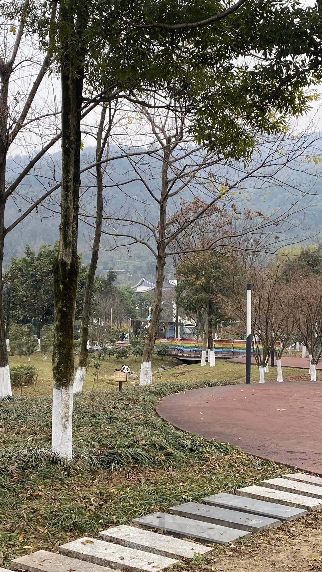 熊猫绿岛公园旅行图片 3