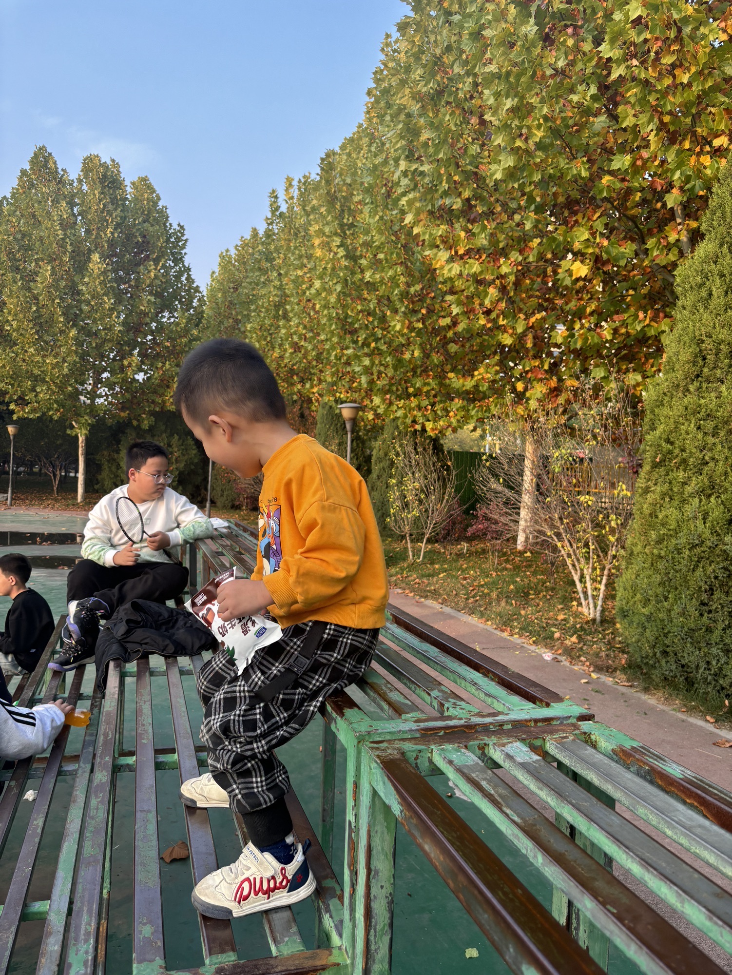 无极县民俗公园旅行图片 1