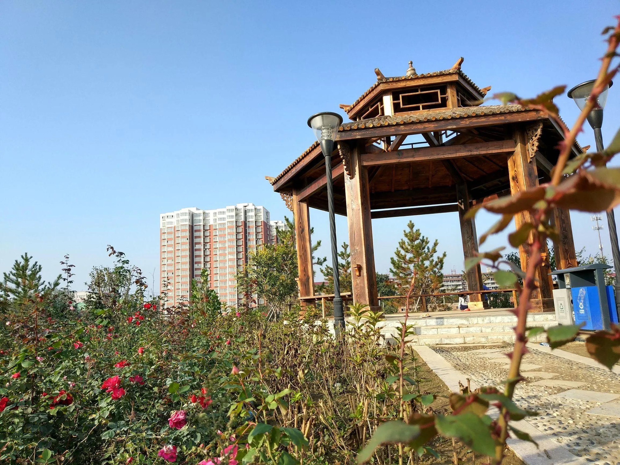 无极县民俗公园旅行图片 1