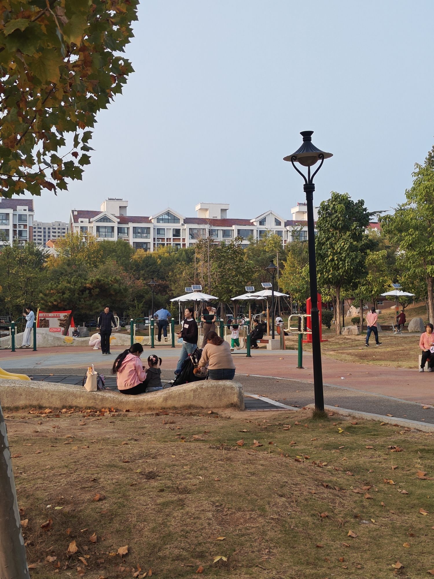 五莲县中心公园旅行图片 3