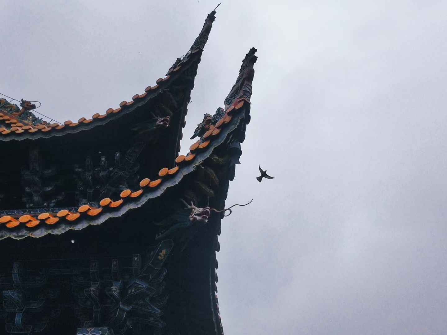 赤松观旅行图片 1