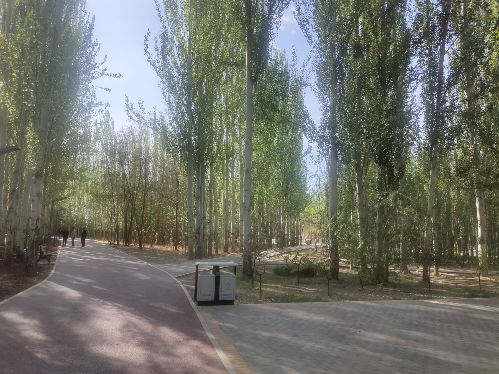 临河区植物园旅行图片 2