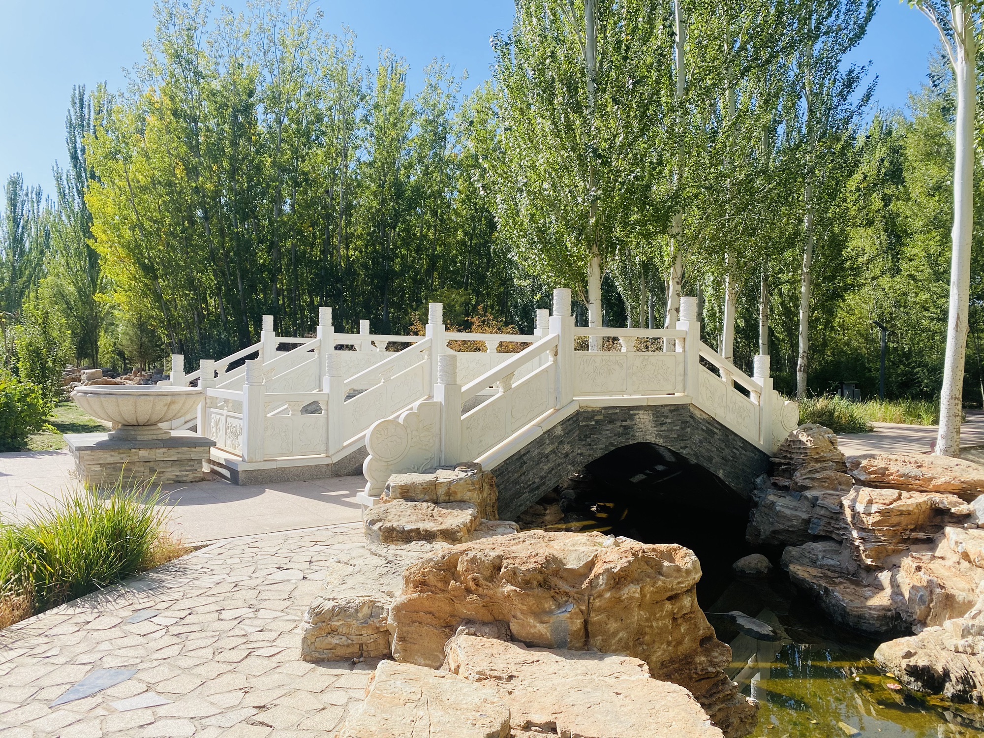 临河区植物园旅行图片 2