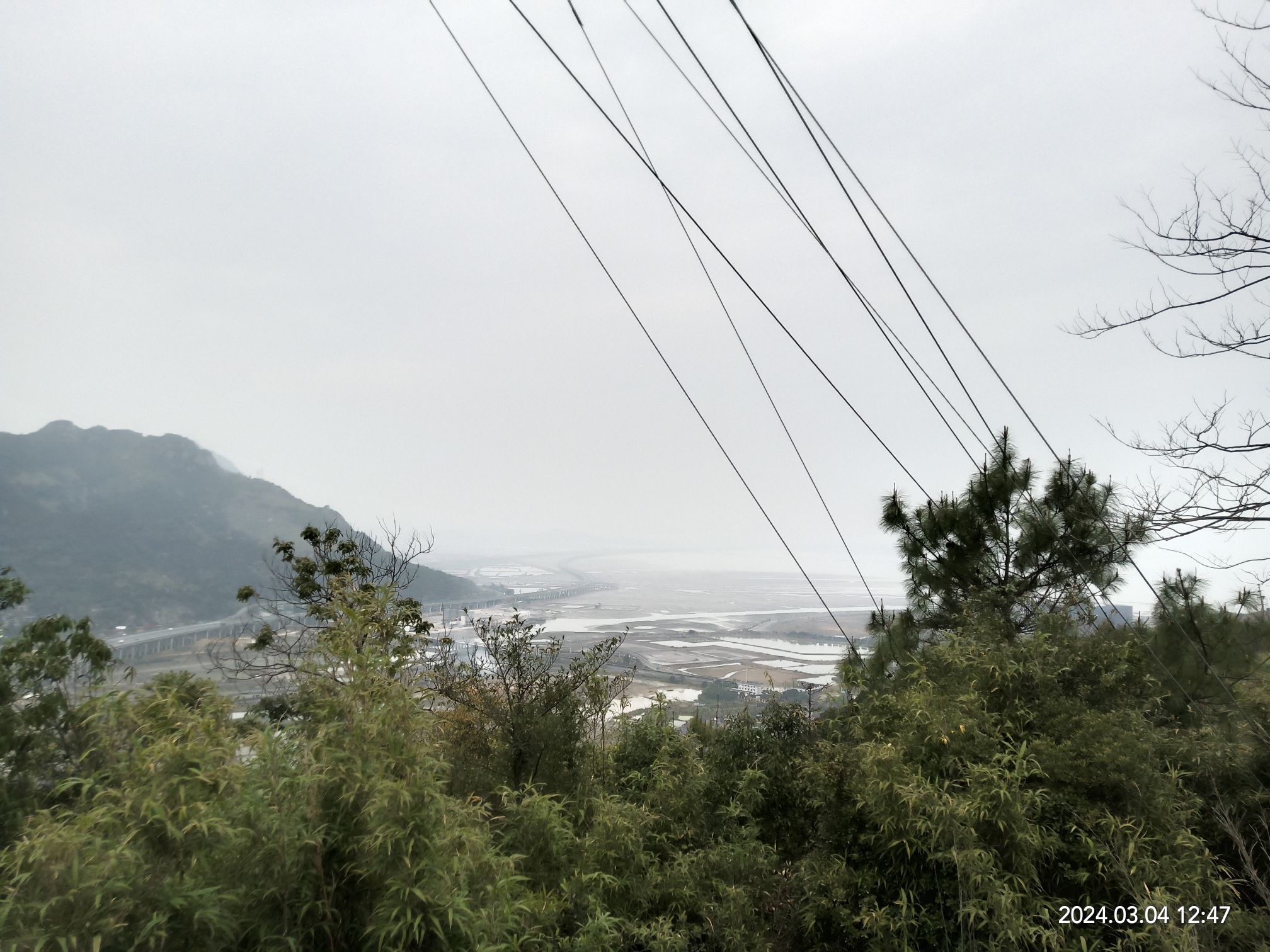 白马山森林公园旅行图片 3