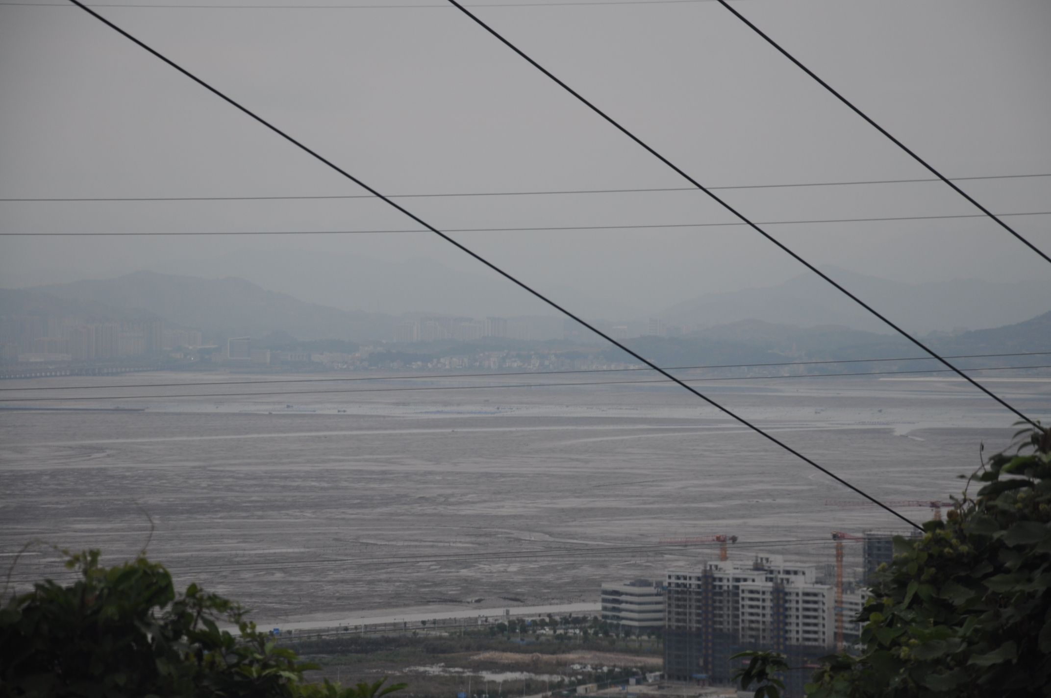 白马山森林公园旅行图片 3