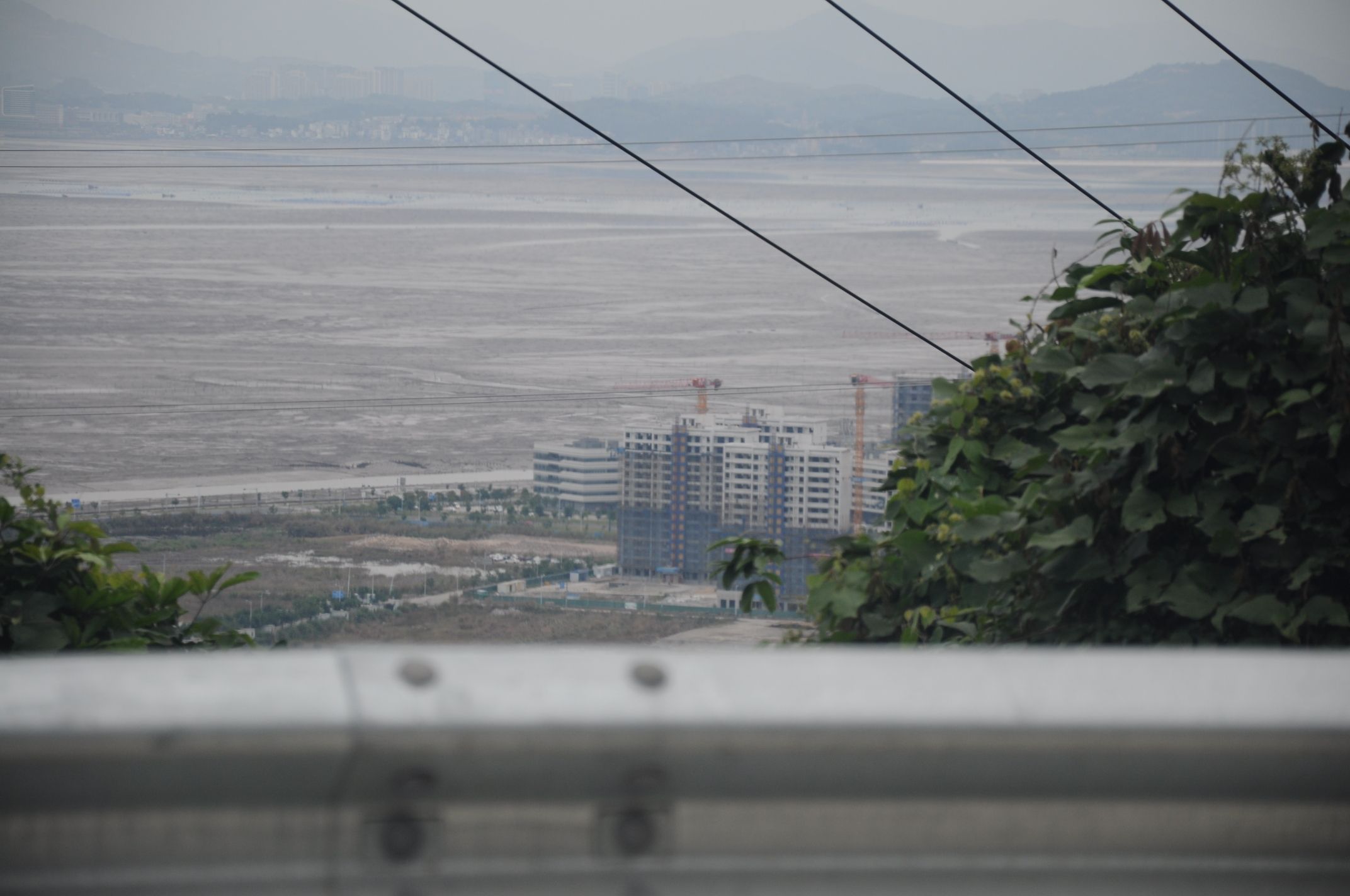 白马山森林公园旅行图片 1
