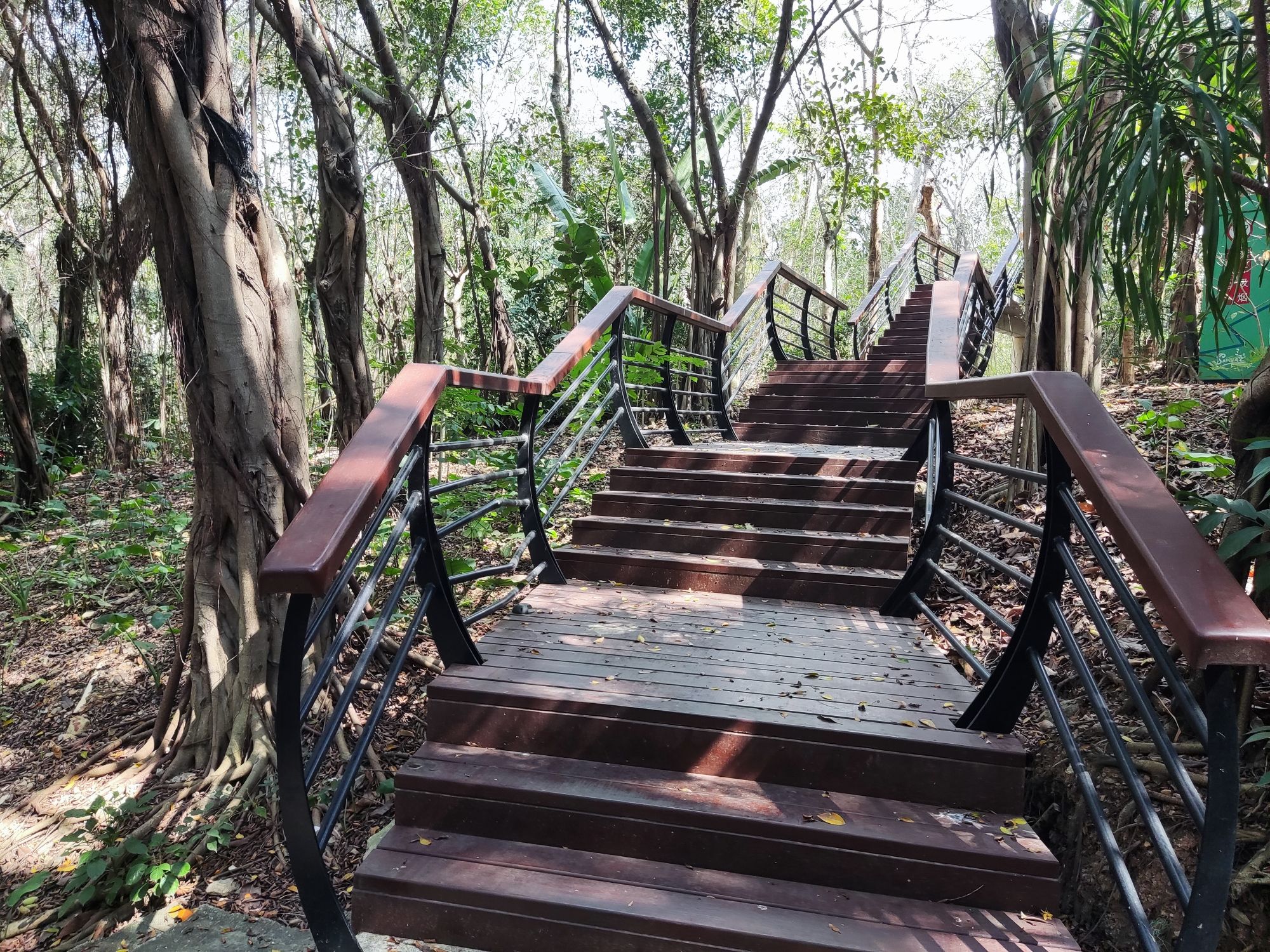 名花公园旅行图片 3