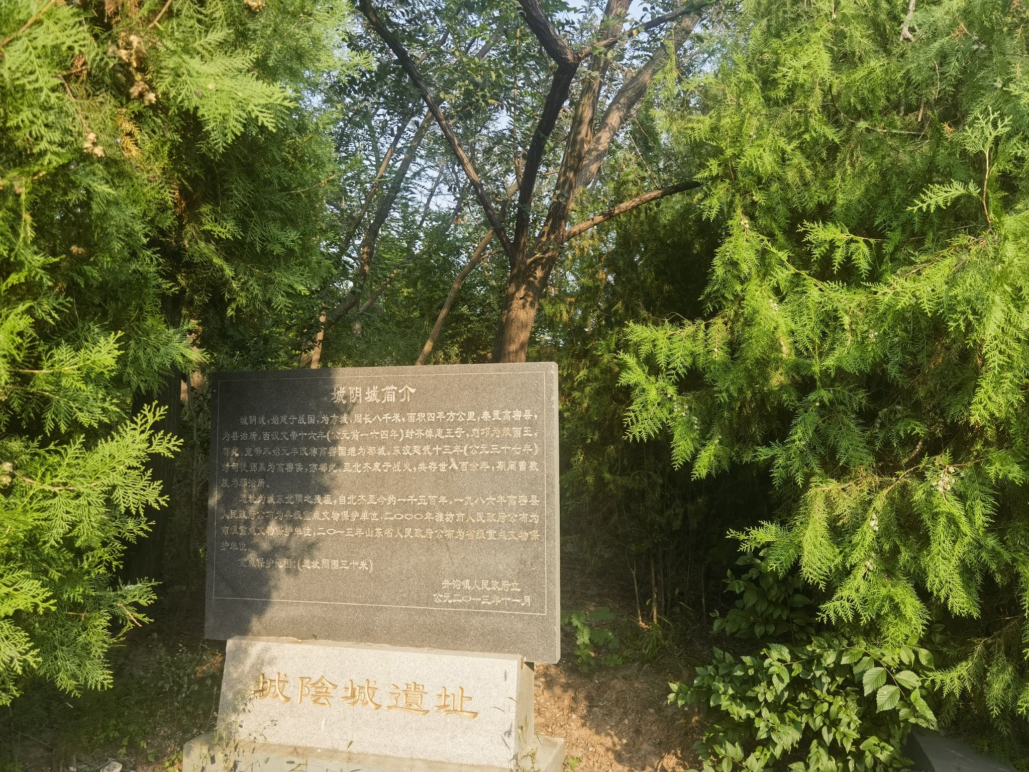 城阴城遗址旅行图片 2