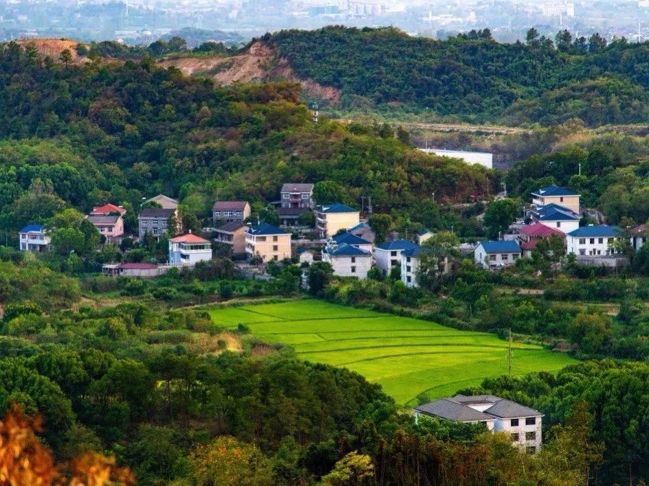 葛山风情村旅行图片 3