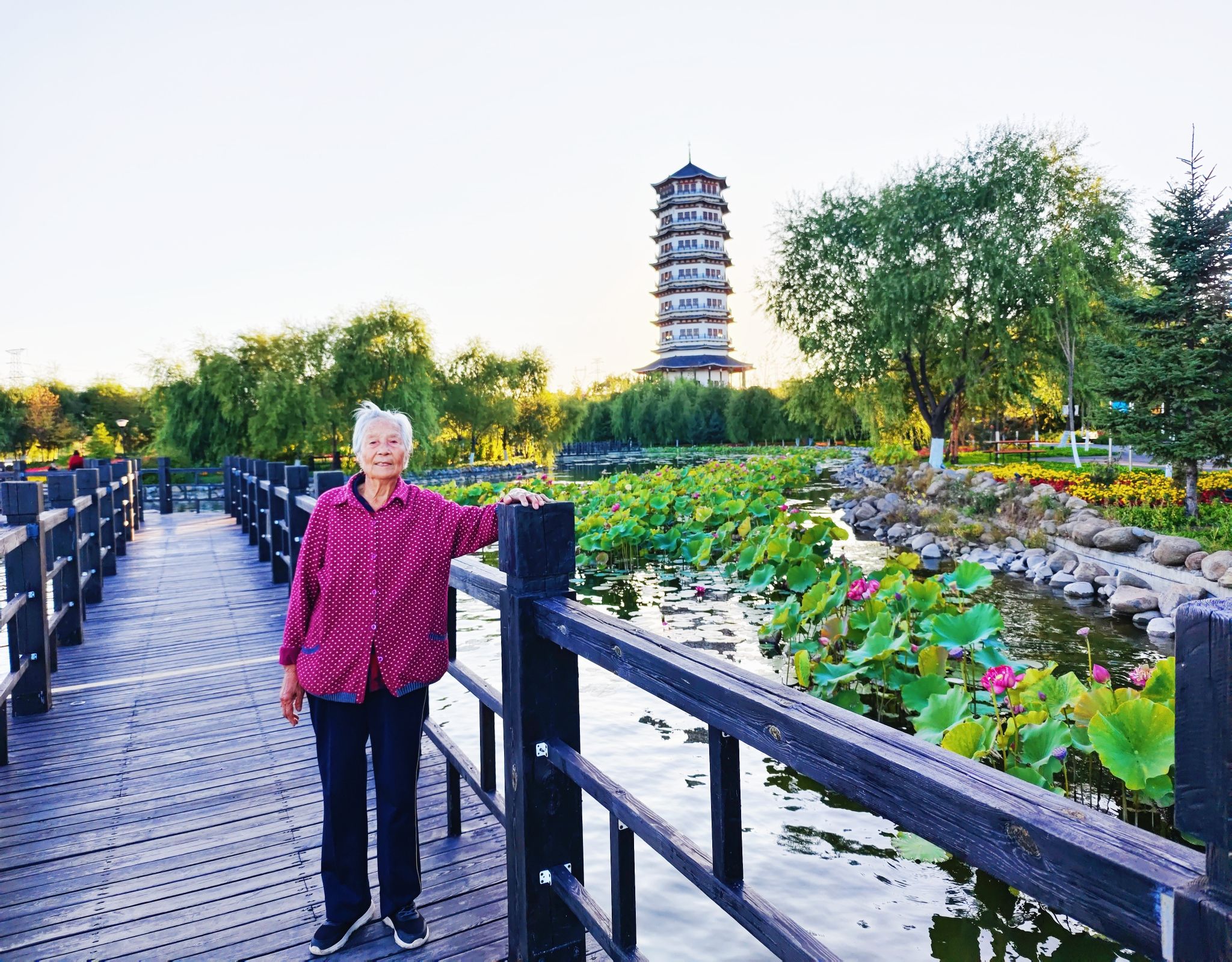 双鸭山市承平湖公园旅行图片 2