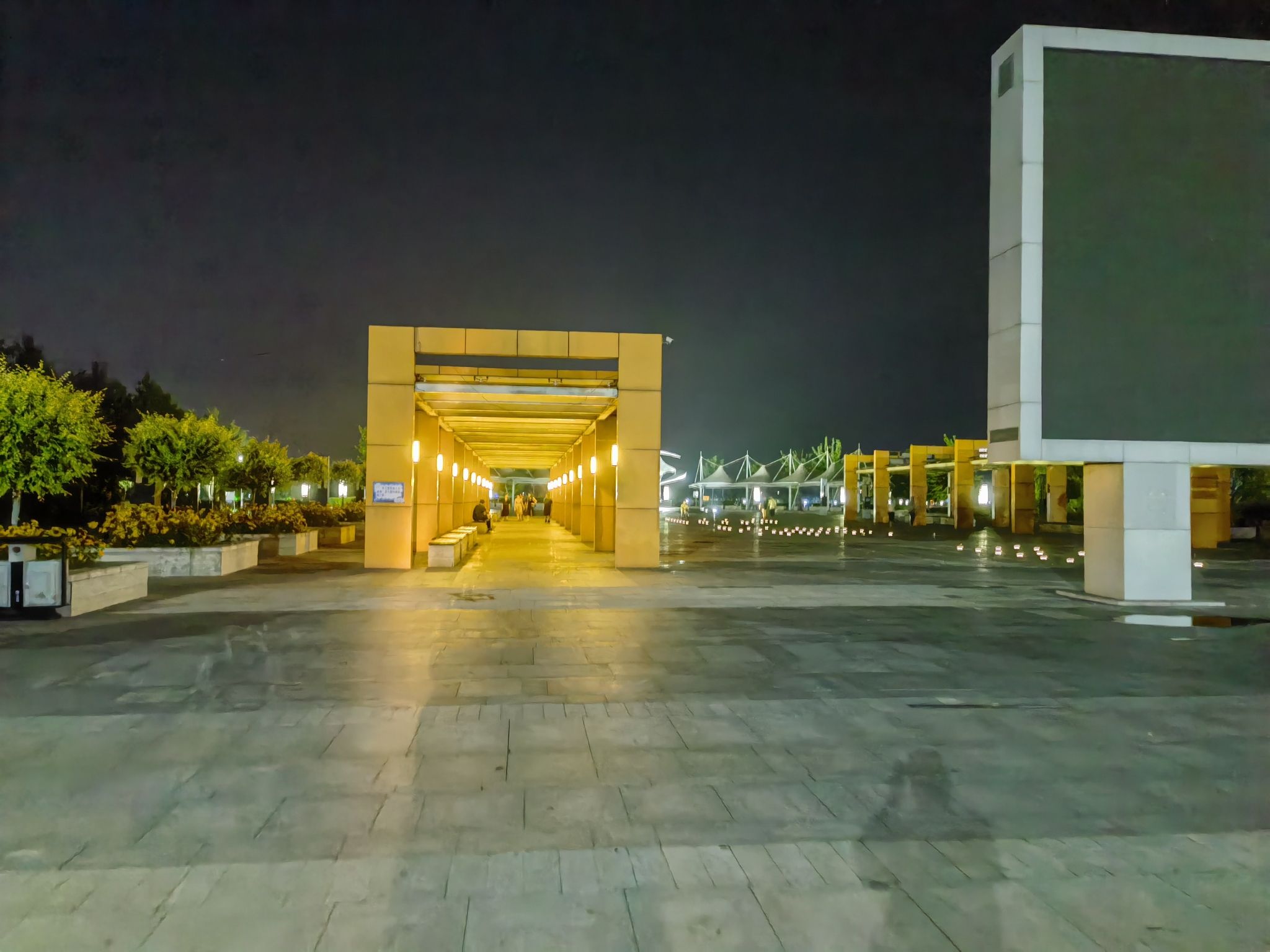 双鸭山市承平湖公园旅行图片 1