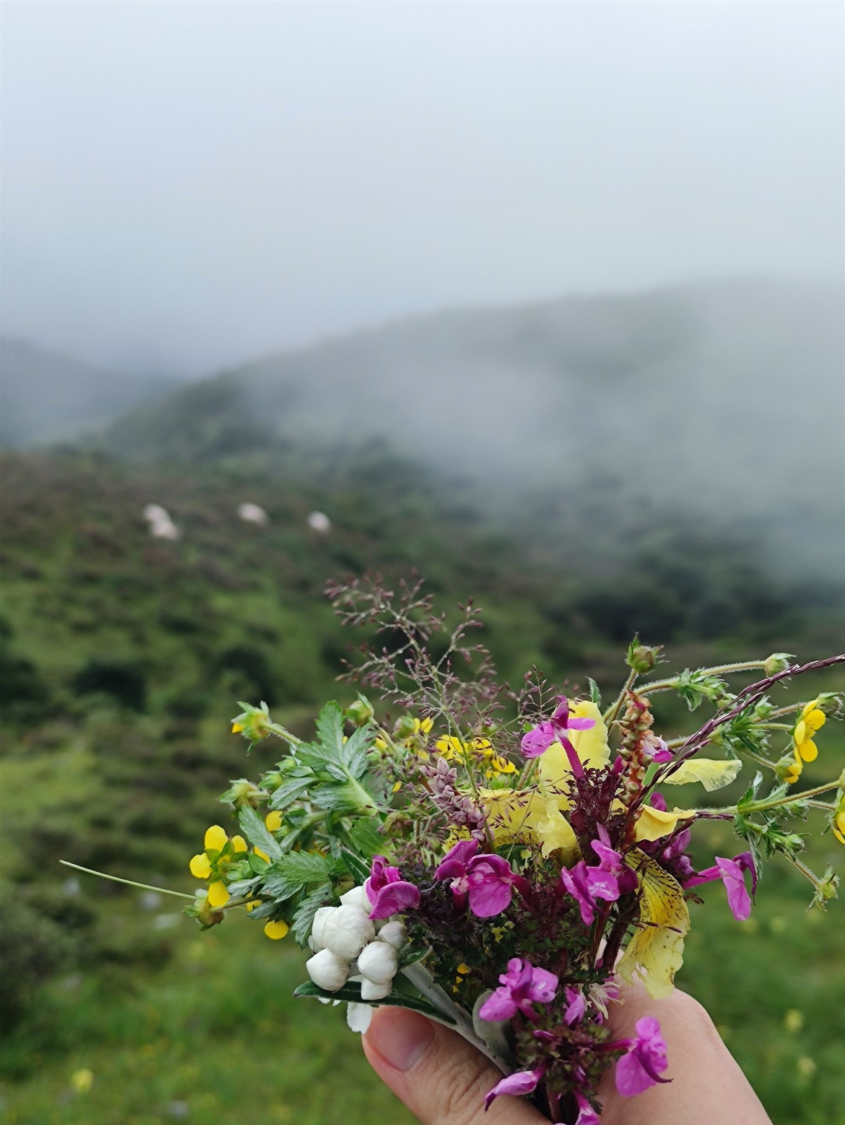 昭觉县谷克德(七里坝)景区(暂停开放)旅行图片 2