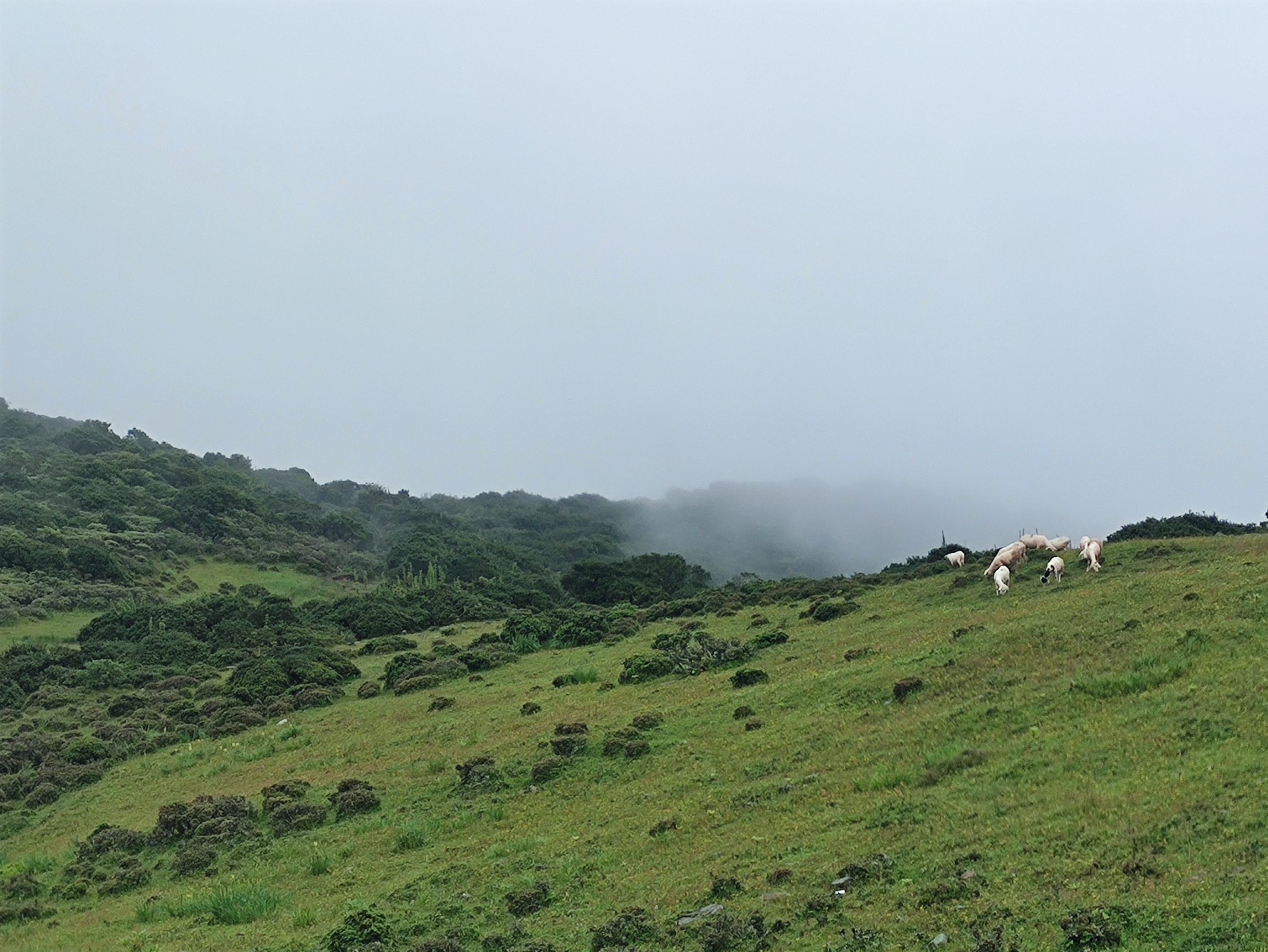 昭觉县谷克德(七里坝)景区(暂停开放)旅行图片 3