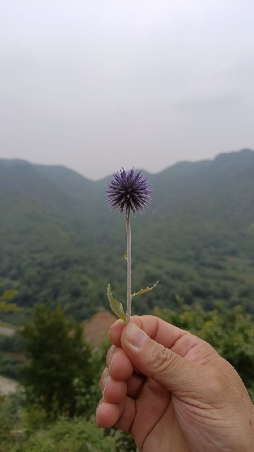 北崔崖风景区旅行图片 2