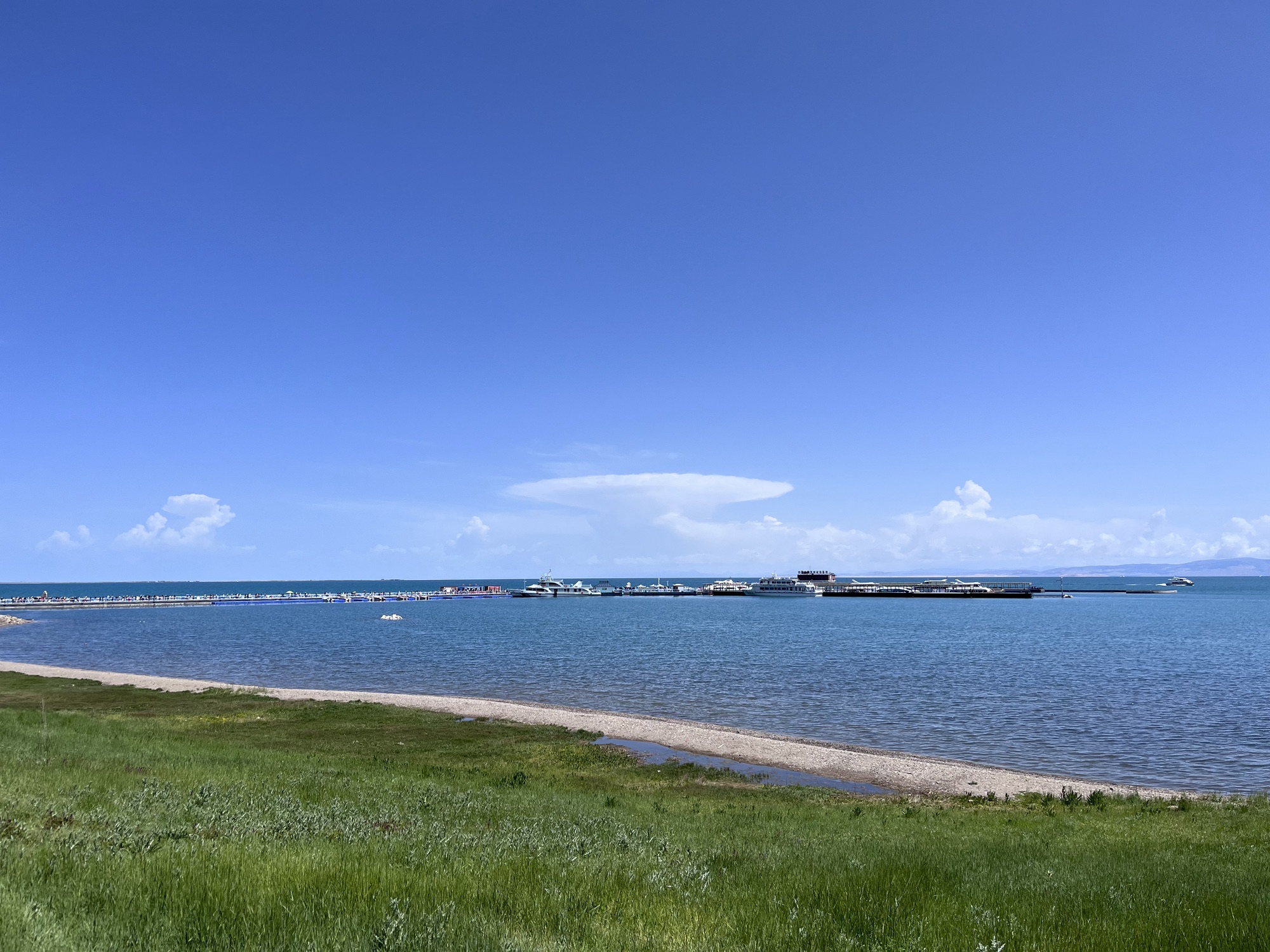 青海湖旅游
